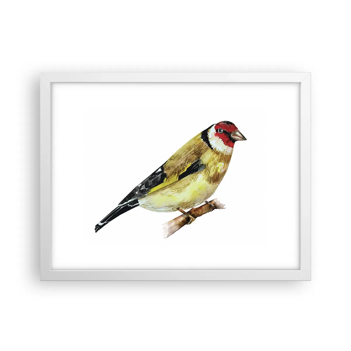 Poster în ramă albă - Portret de pasăre - 40x30 cm