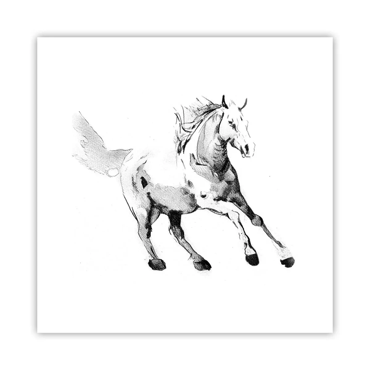 Poster - Suflet neîmblânzit - 30x30 cm
