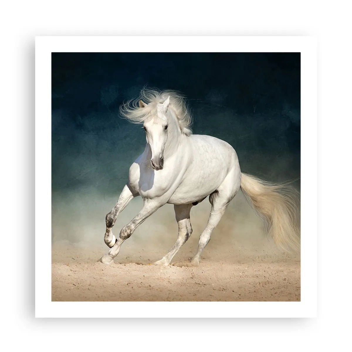 Poster - Libertate în stare pură - 60x60 cm