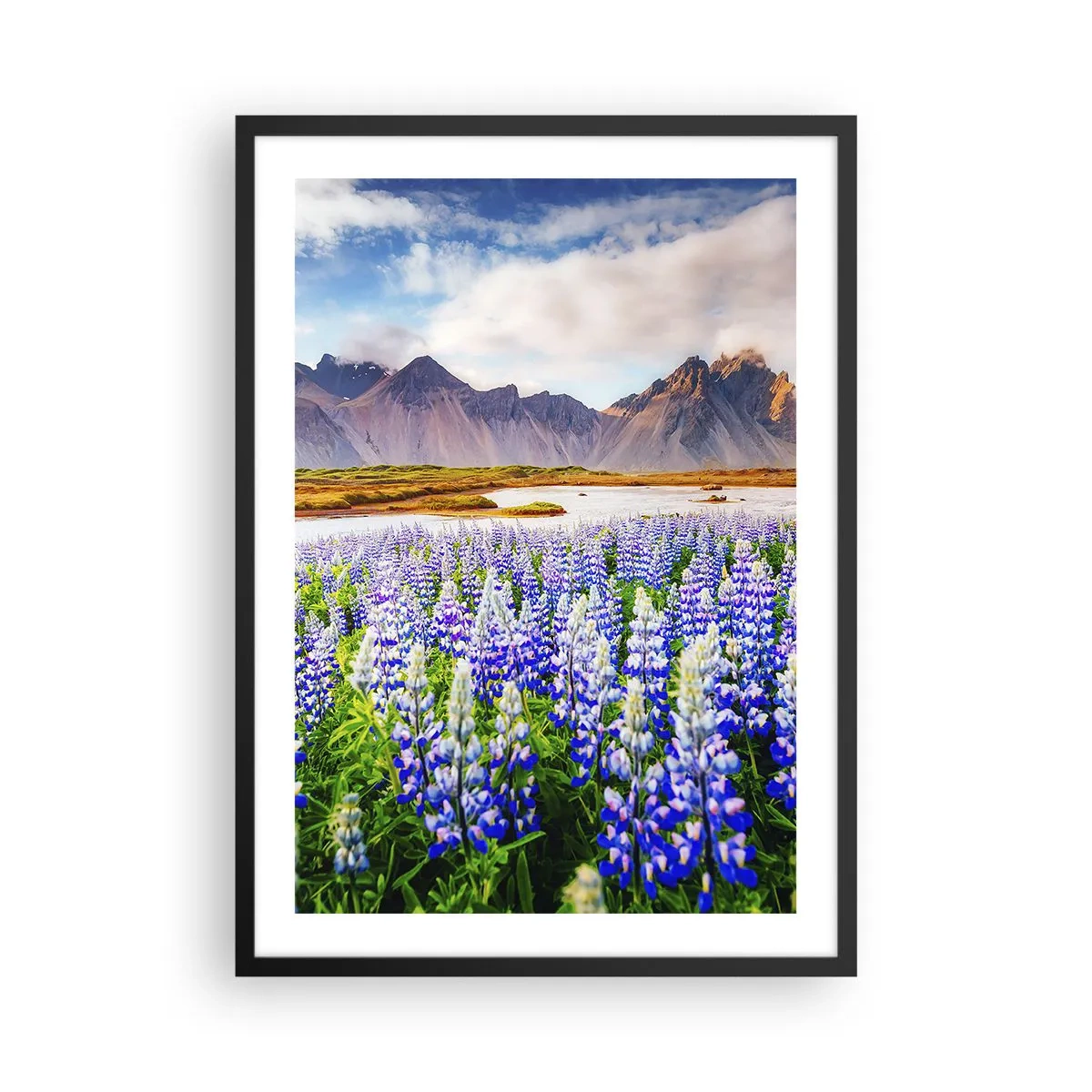 Poster în ramă neagră - Un câmp de lupini cu munți în fundal - 50x70cm - Putere și severitate alături de blândețe - Decorațiune modernă pentru perete pentru living și dormitor ARTTOR