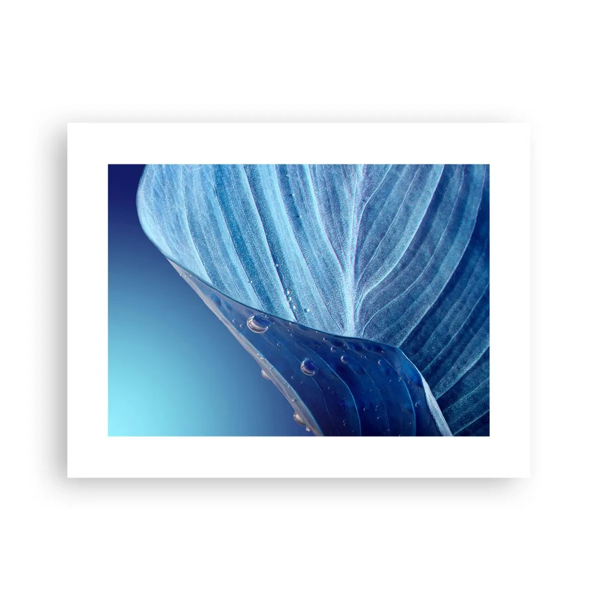 Poster - Picături ascunse de albastru - 40x30 cm