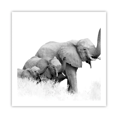 Poster - Unu, doi, trei - 60x60 cm