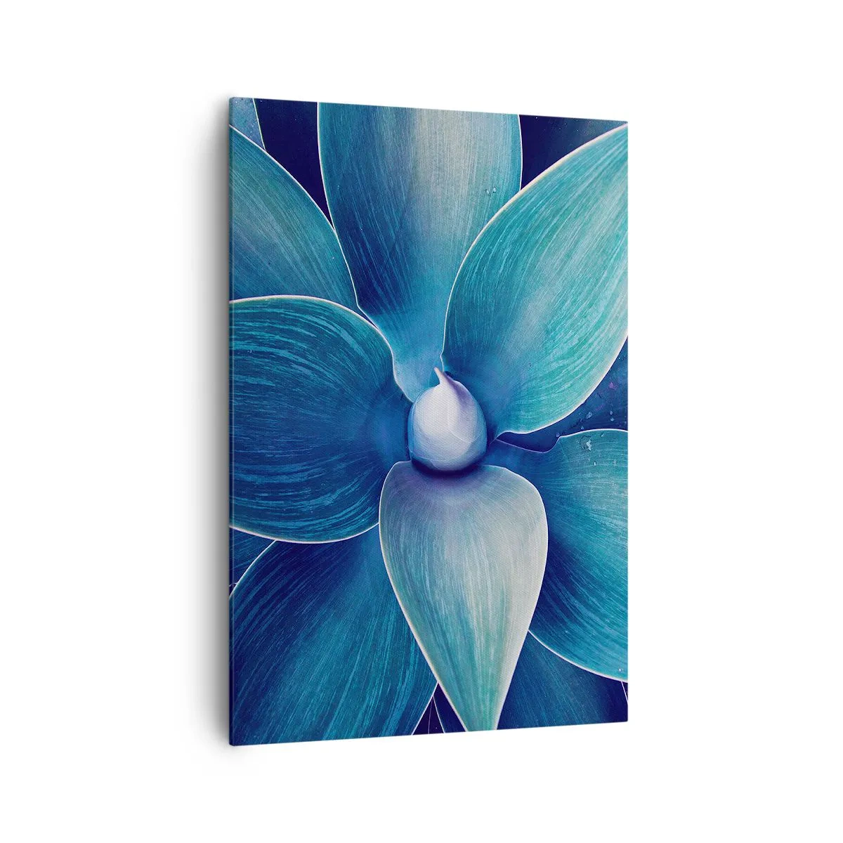 Tablou pe pânză - A furat albastrul de la cer - 70x100 cm