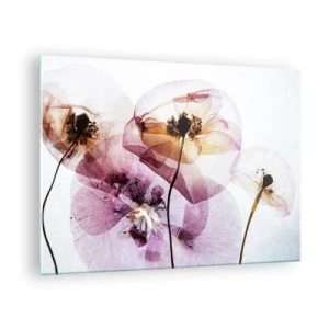 Tablou pe sticlă - Flori delicate în culori pastelate transparente pe un fundal deschis - 70x50cm - Corp de flori transparente - Decorațiune modernă pentru perete pentru living și dormitor ARTTOR
