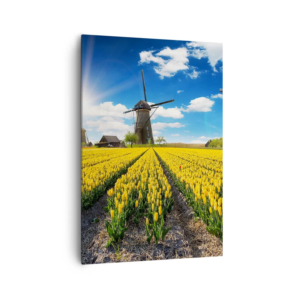 Tablou pe pânză - Olandez pe cât se poate - 70x100 cm