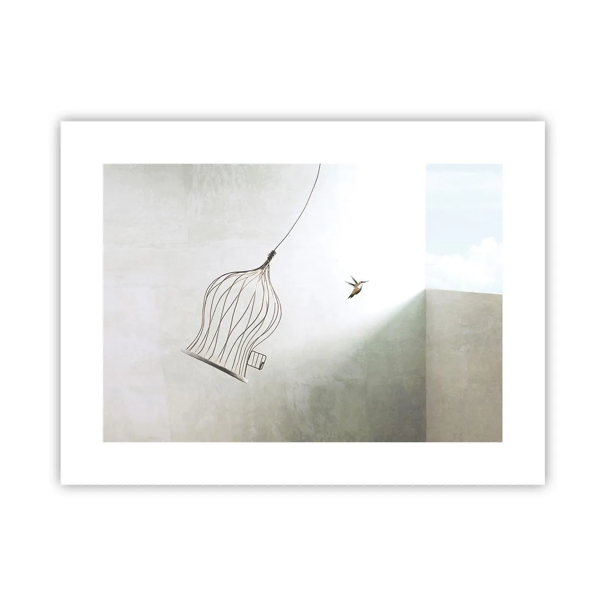 Poster - Eliberat - 40x30 cm