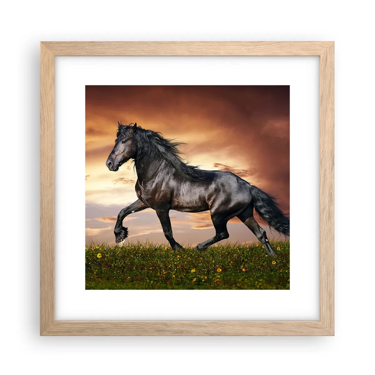 Poster în ramă de stejar deschis - Prințul negru - 30x30 cm