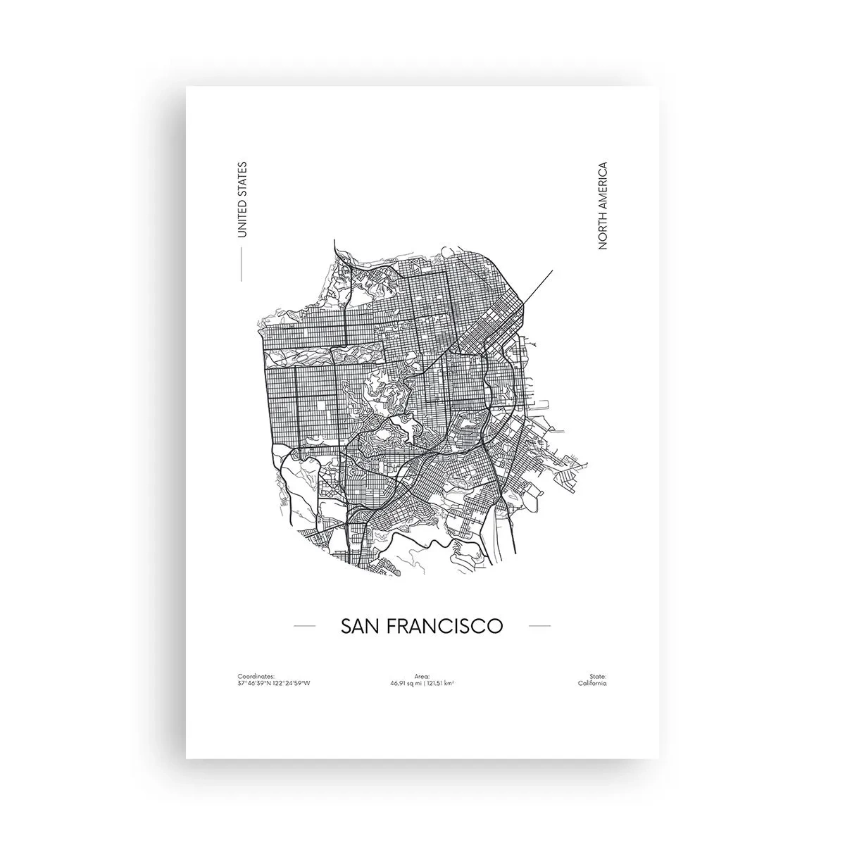 Poster - Anatomia San Francisco - 70x100 cm