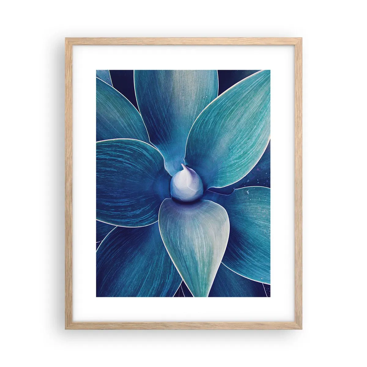 Poster în ramă de stejar deschis - A furat albastrul de la cer - 40x50 cm