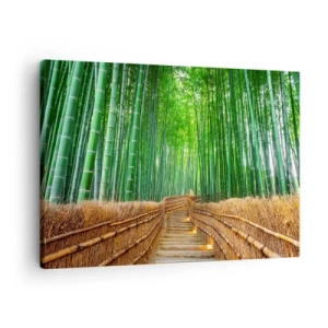 Tablou pe pânză Canvas - cale într-o pădure densă de bambus - 70x50cm - Esența naturii asiatice - Decorațiune modernă pentru perete pentru living și dormitor ARTTOR