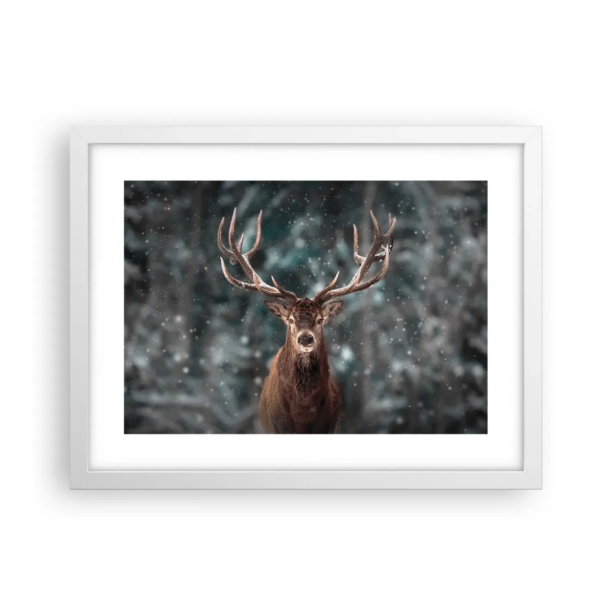 Poster în ramă albă - Regele pădurii a fost încoronat - 40x30 cm