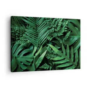 Tablou pe pânză Canvas - Frunze tropicale verzi într-o compoziție densă și naturală - 70x50cm - Înfășurate în verde - Decorațiune modernă pentru perete pentru living și dormitor ARTTOR