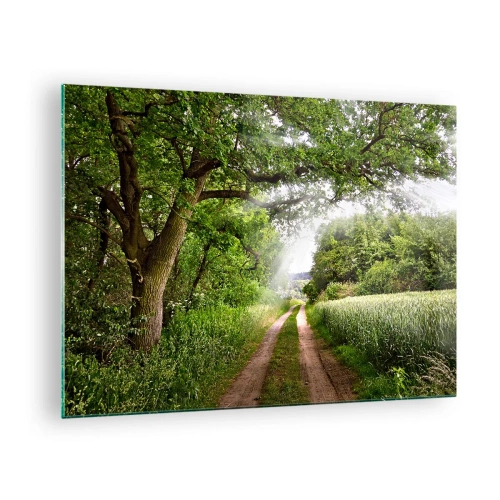 Tablou pe sticlă - Un drum forestier înconjurat de verdeață în razele soarelui - 70x50cm - Et in Arcadia ego - Decorațiune modernă pentru perete pentru living și dormitor ARTTOR