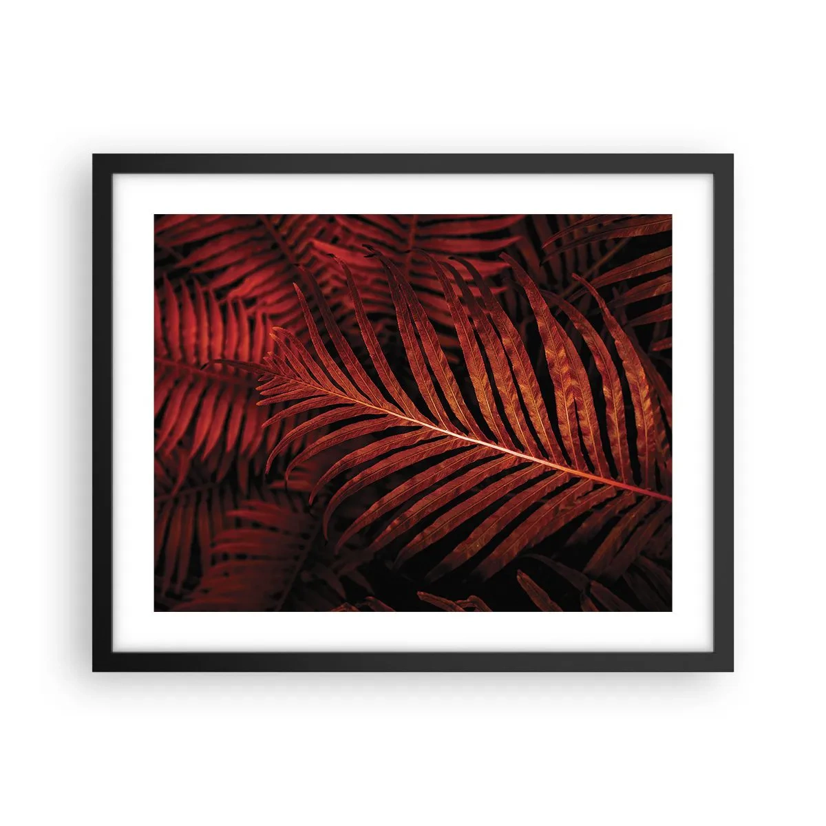 Poster în ramă neagră - Ardoarea vieții - 50x40 cm