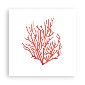 Poster - Coral filigranat - 40x40 cm