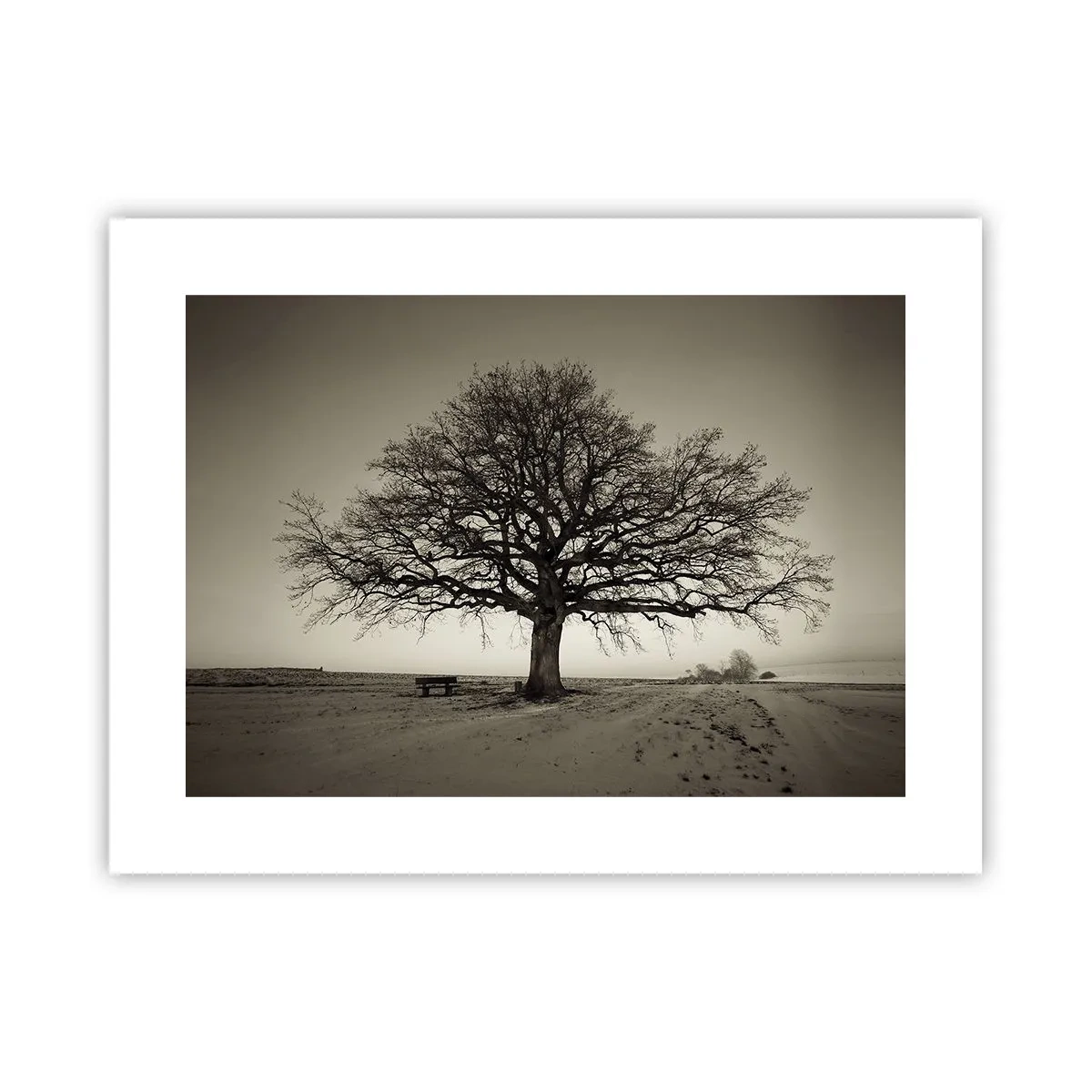 Poster - De aici până în veșnicie - 40x30 cm