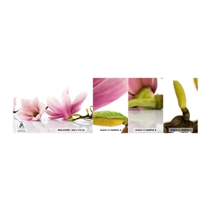 Mostră de Tapet Standard Eco - Delicate ca o adiere de primăvară - Floare, Magnolie, Natură - 100x30 cm