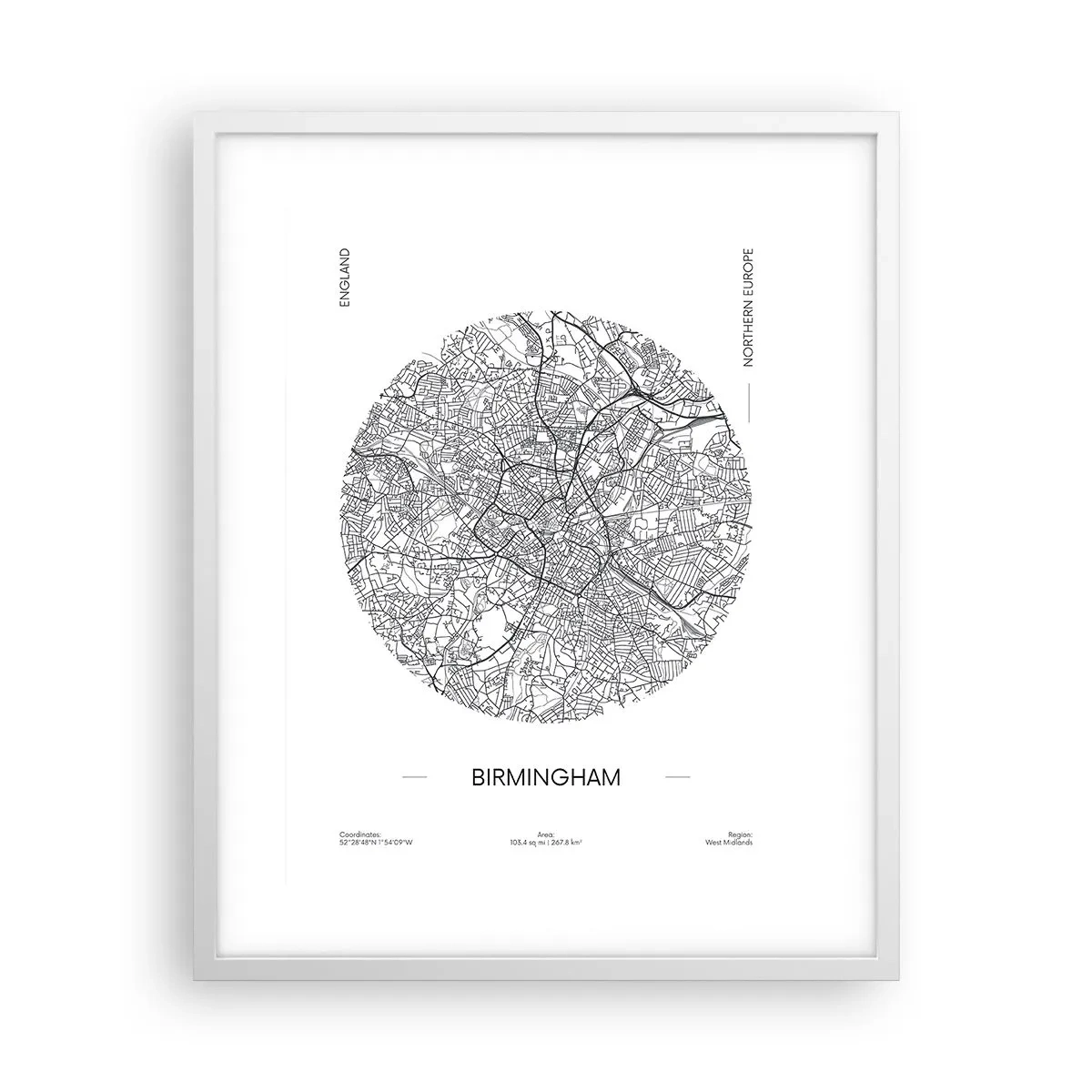 Poster în ramă albă - Anatomia Birmingham - 40x50 cm