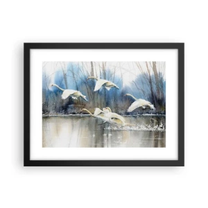 Poster în ramă neagră - Dansând cu lebedele sălbatice - 40x30 cm