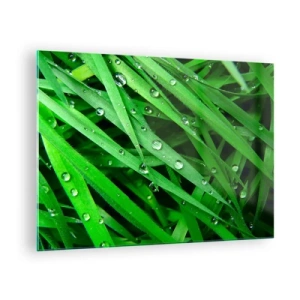 Tablou pe sticlă - Fire verzi de iarbă cu picături de rouă - 70x50cm - Joacă de-a verdele - Decorațiune modernă pentru perete pentru living și dormitor ARTTOR