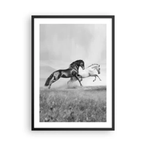 Poster în ramă neagră - Cai albi și negri galopând dinamic pe un fundal de câmp - 50x70cm - Îngeri și demoni - Decorațiune modernă pentru perete pentru living și dormitor ARTTOR