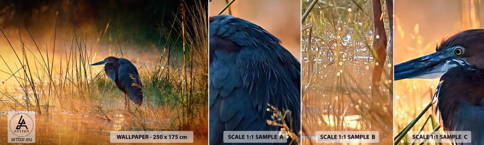 Mostră tapet autocolant Deluxe Sticker - Lasă-mă în pace cu aceste fotografii - Stârc, Pasăre, Natură - 100x30 cm