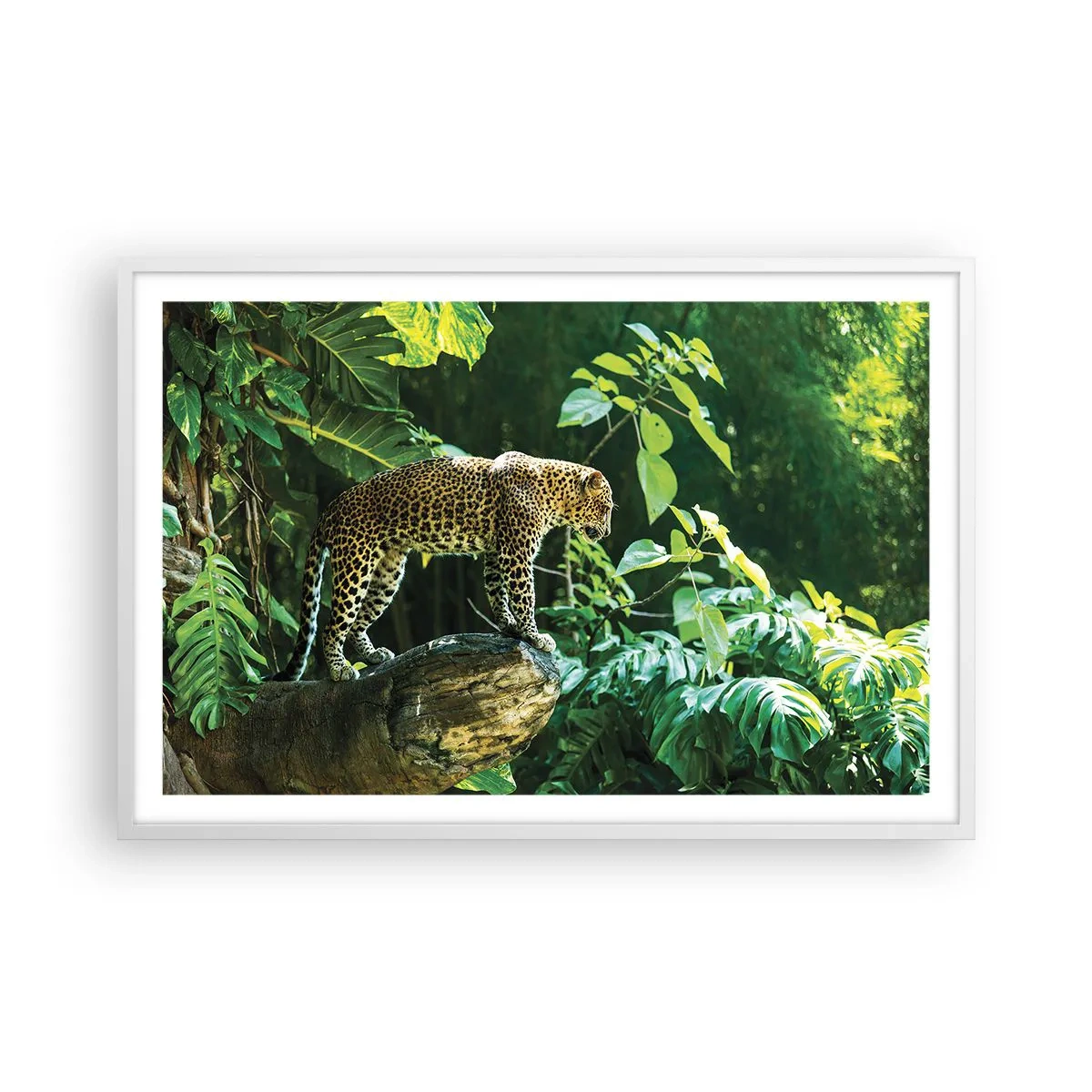 Poster în ramă albă - La vânătoare? - 91x61 cm