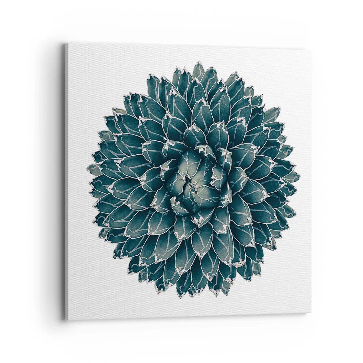 Tablou pe pânză - Steaua deșertului - 70x70 cm