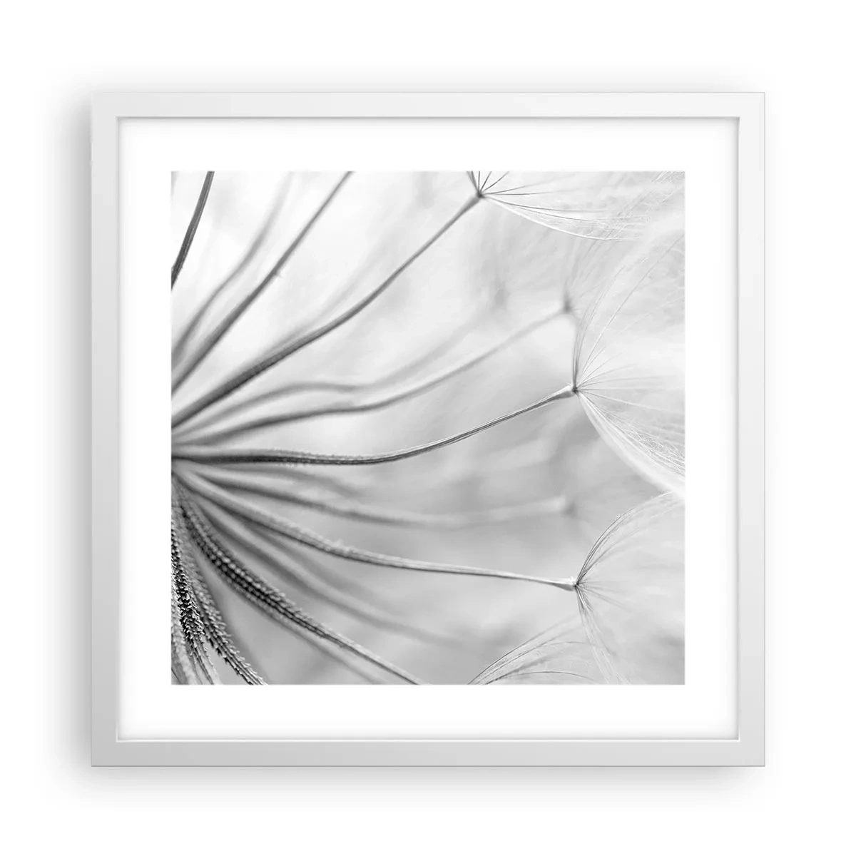 Poster în ramă albă - Suflarea zmeilor - 40x40 cm