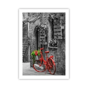 Poster - Alee din Toscana - 50x70 cm