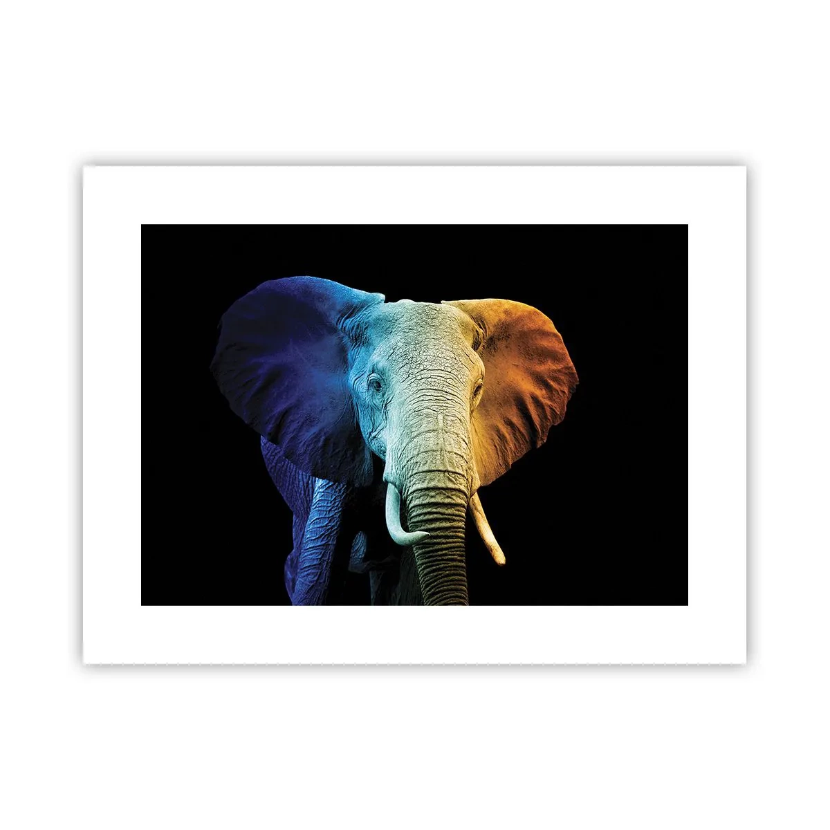 Poster - Excentric, nu ciudat - 40x30 cm