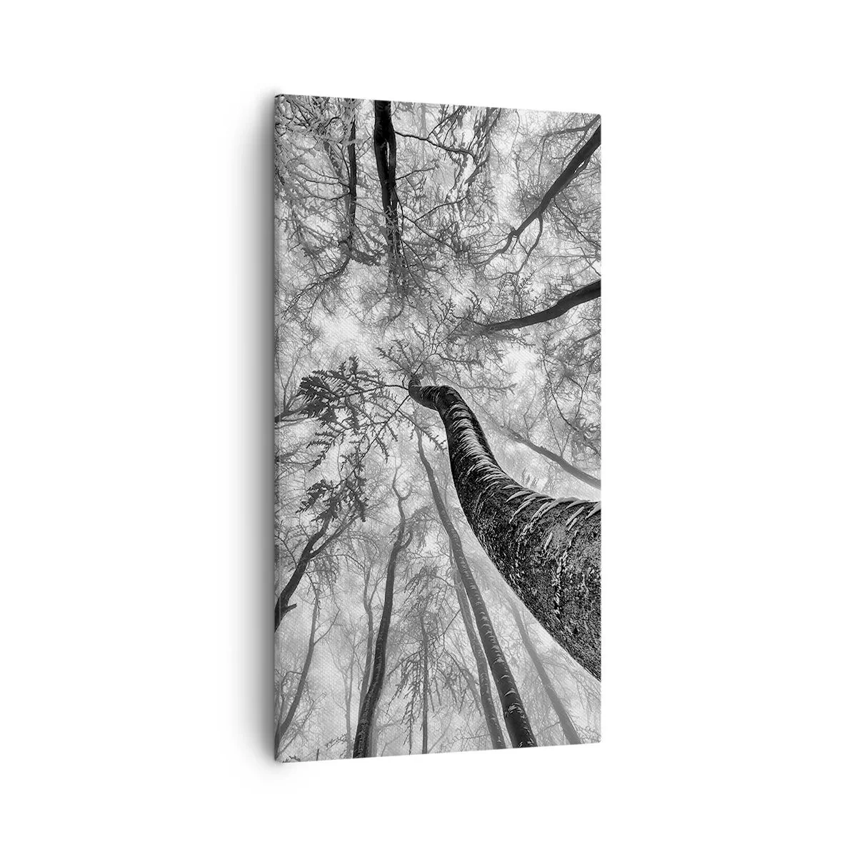 Tablou pe pânză - Cursa spre lumină - 55x100 cm