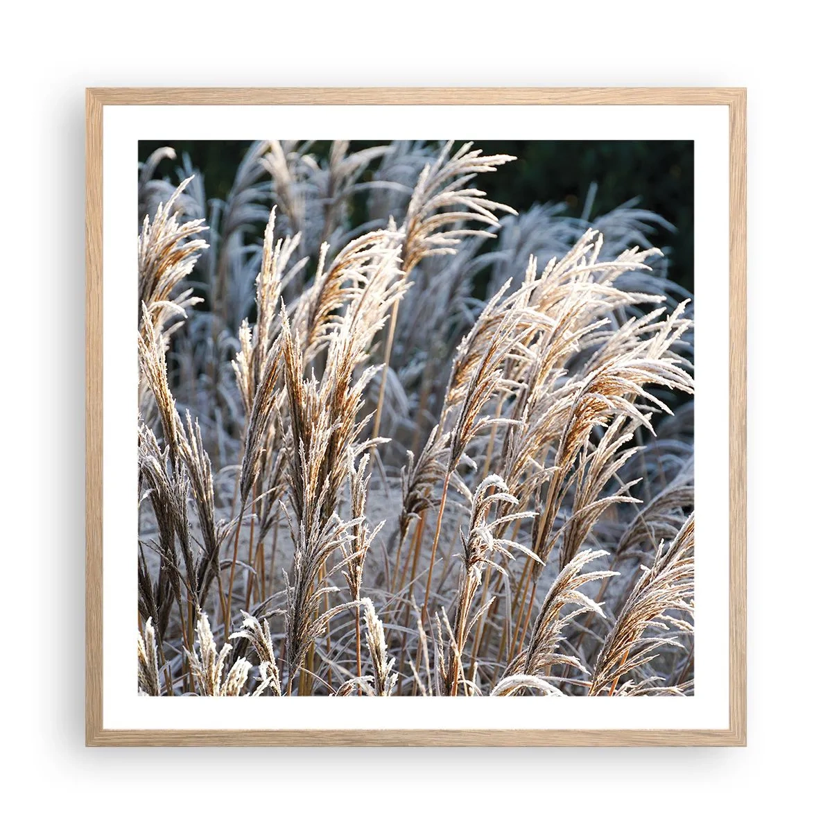 Poster în ramă de stejar deschis - Împodobite cu brumă - 60x60 cm