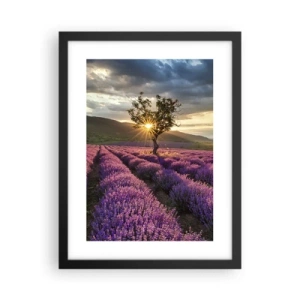Poster în ramă neagră - Aroma în liliac - 30x40 cm