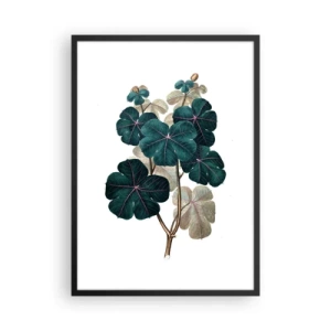 Poster în ramă neagră - Ilustrație botanică cu frunze verde închis pe fundal deschis - 50x70cm - Dintr-un vechi ierbar - Decorațiune modernă pentru perete pentru living și dormitor ARTTOR