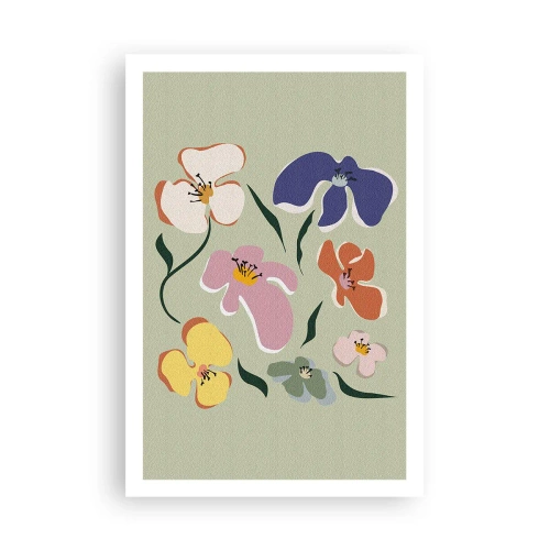 Poster - Panseluțe colorate - 61x91 cm