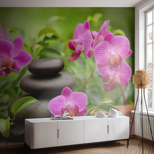 Tapet Premium Canvas - Piramida de liniște - Flori, Orhidee, Orhidee - 250x175 cm