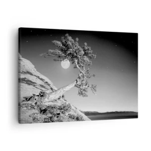 Tablou pe pânză Canvas - Copac alb-negru pe o stâncă cu luna în fundal - 70x50cm - Războinicul victorios - Decorațiune modernă pentru perete pentru living și dormitor ARTTOR