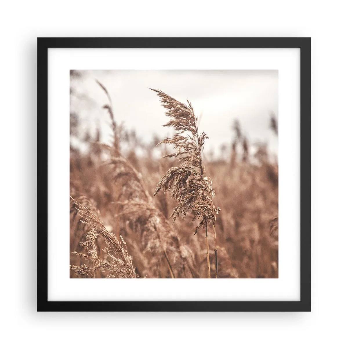 Poster în ramă neagră - Toamna pe câmpuri - 40x40 cm