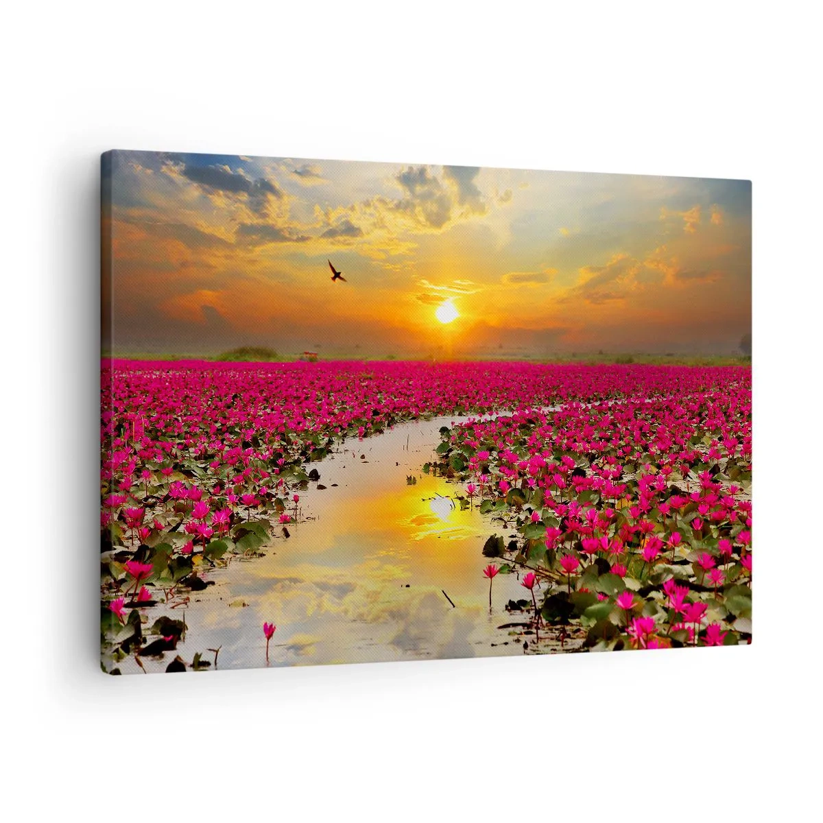 Tablou pe pânză Canvas - Un câmp de nuferi roz la apus - 70x50cm - Viața secretă a lacului - Decorațiune modernă pentru perete pentru living și dormitor ARTTOR