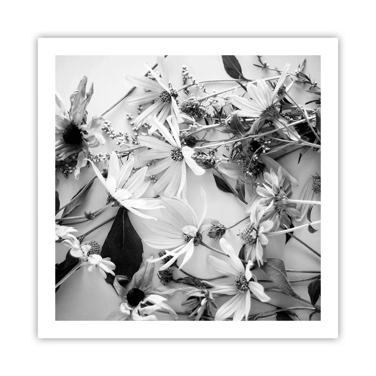 Poster - Un altfel de buchet - 60x60 cm