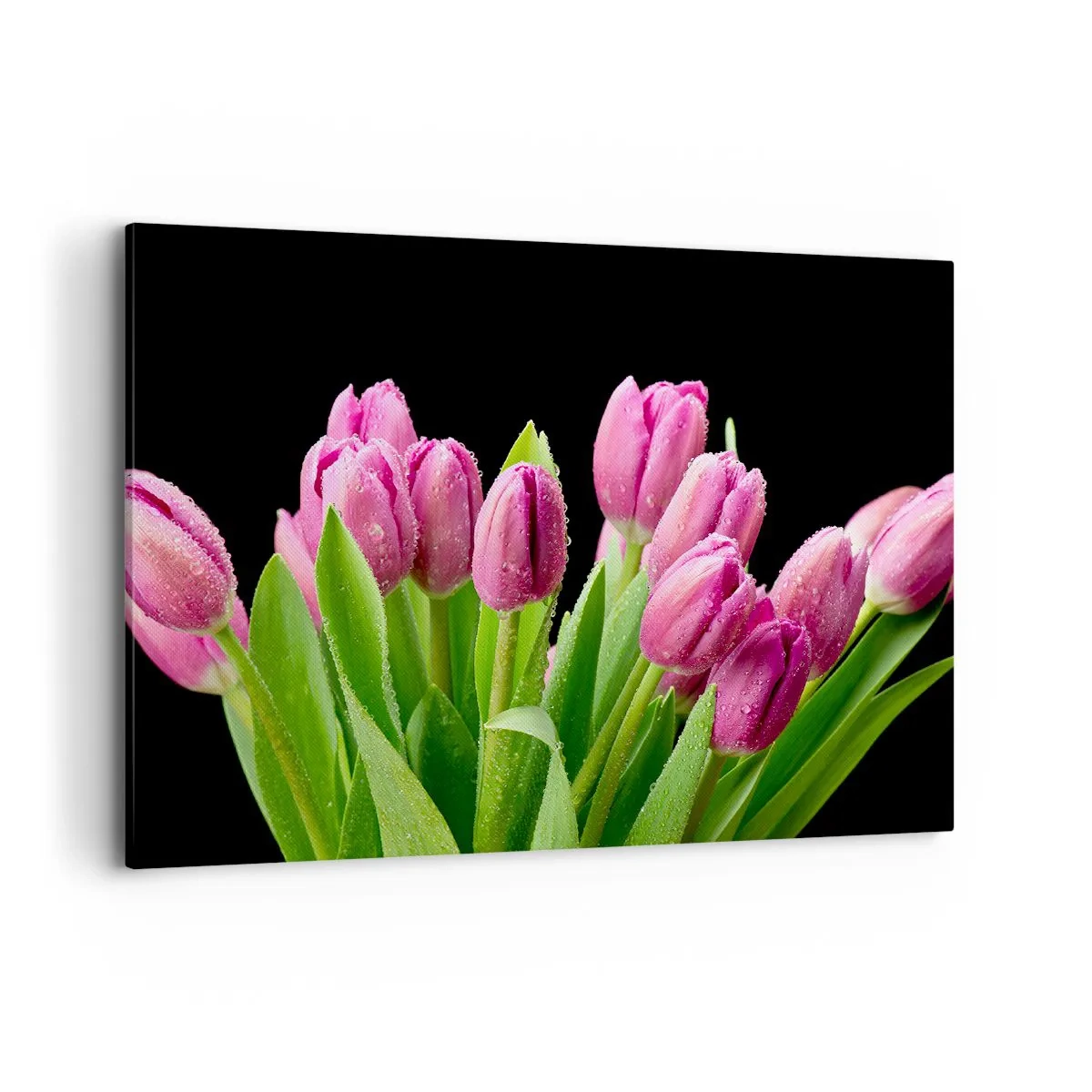 Tablou pe pânză - Bucurie de liliac de primăvară - 100x70 cm