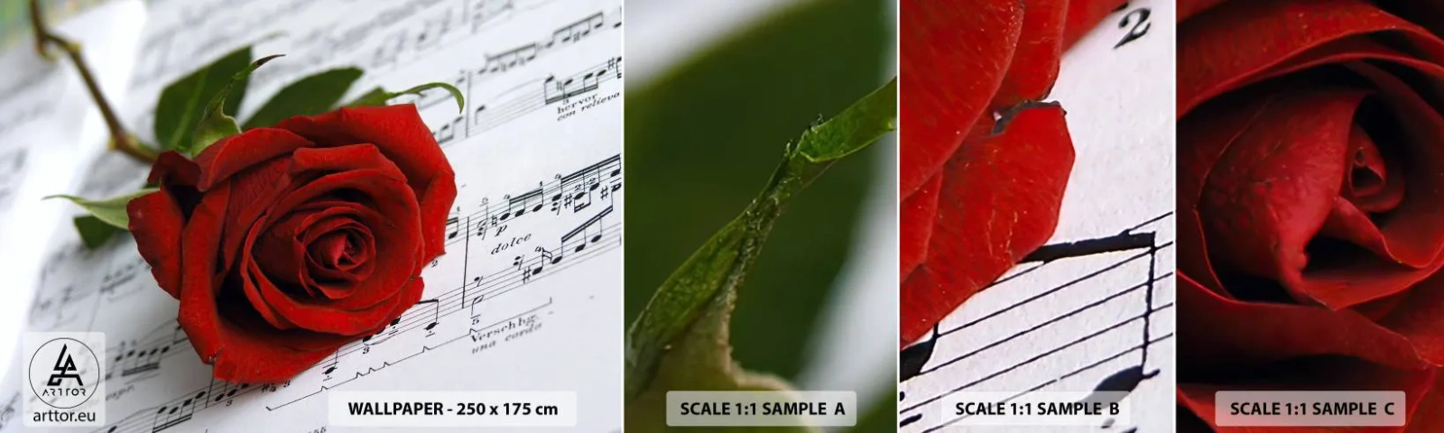 Mostră tapet autocolant Deluxe Sticker - Muzica sentimentelor în stacojiu - Flori, Trandafir, Muzică - 100x30 cm