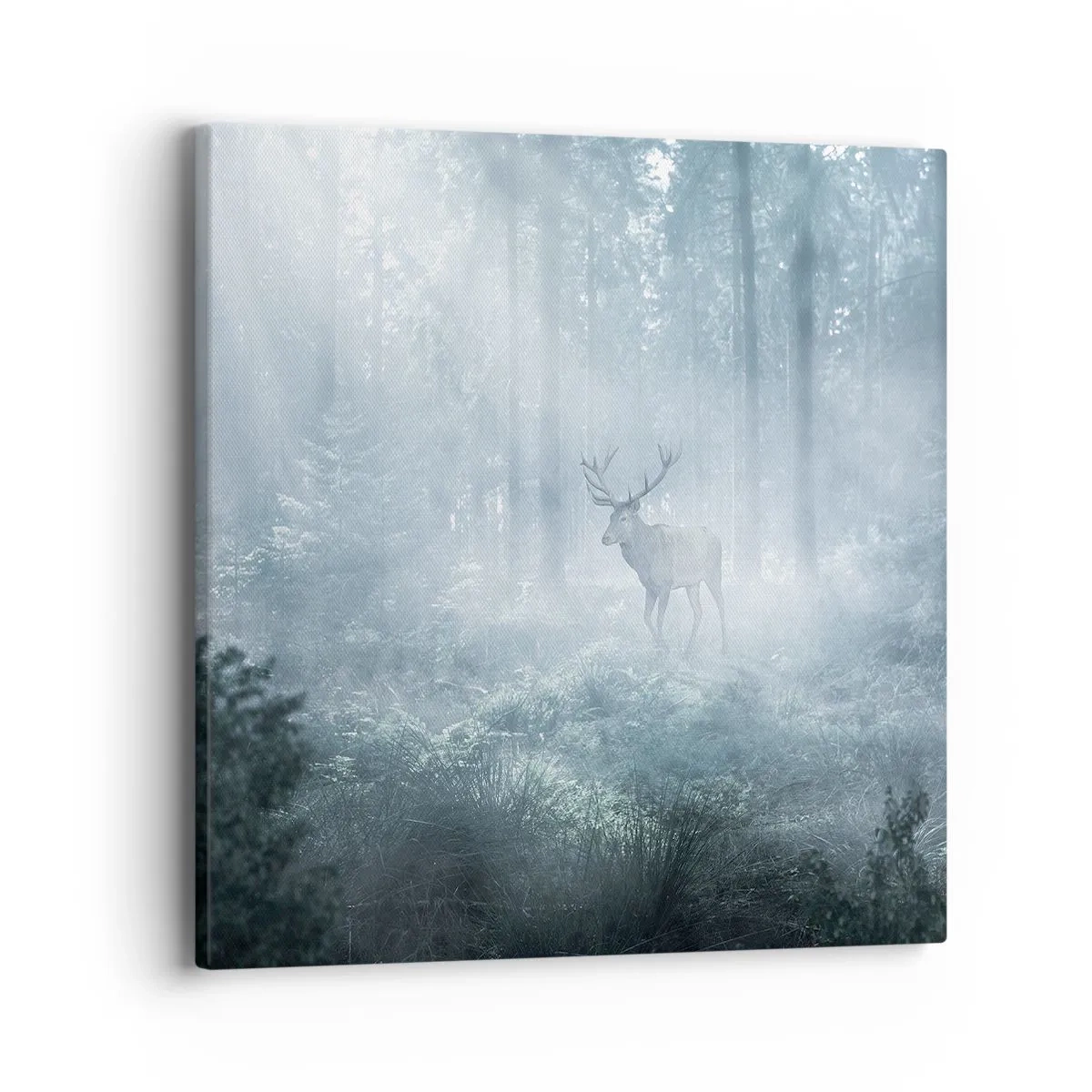 Tablou pe pânză - Plimbarea de dimineață prin regat - 40x40 cm