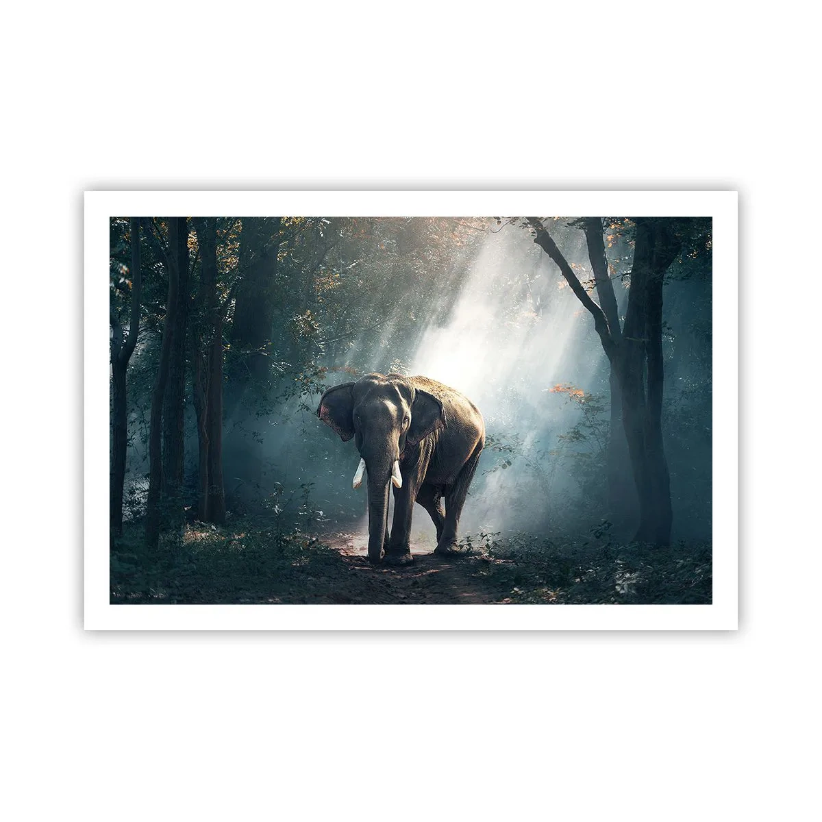 Poster - O plimbare liniștită - 91x61 cm