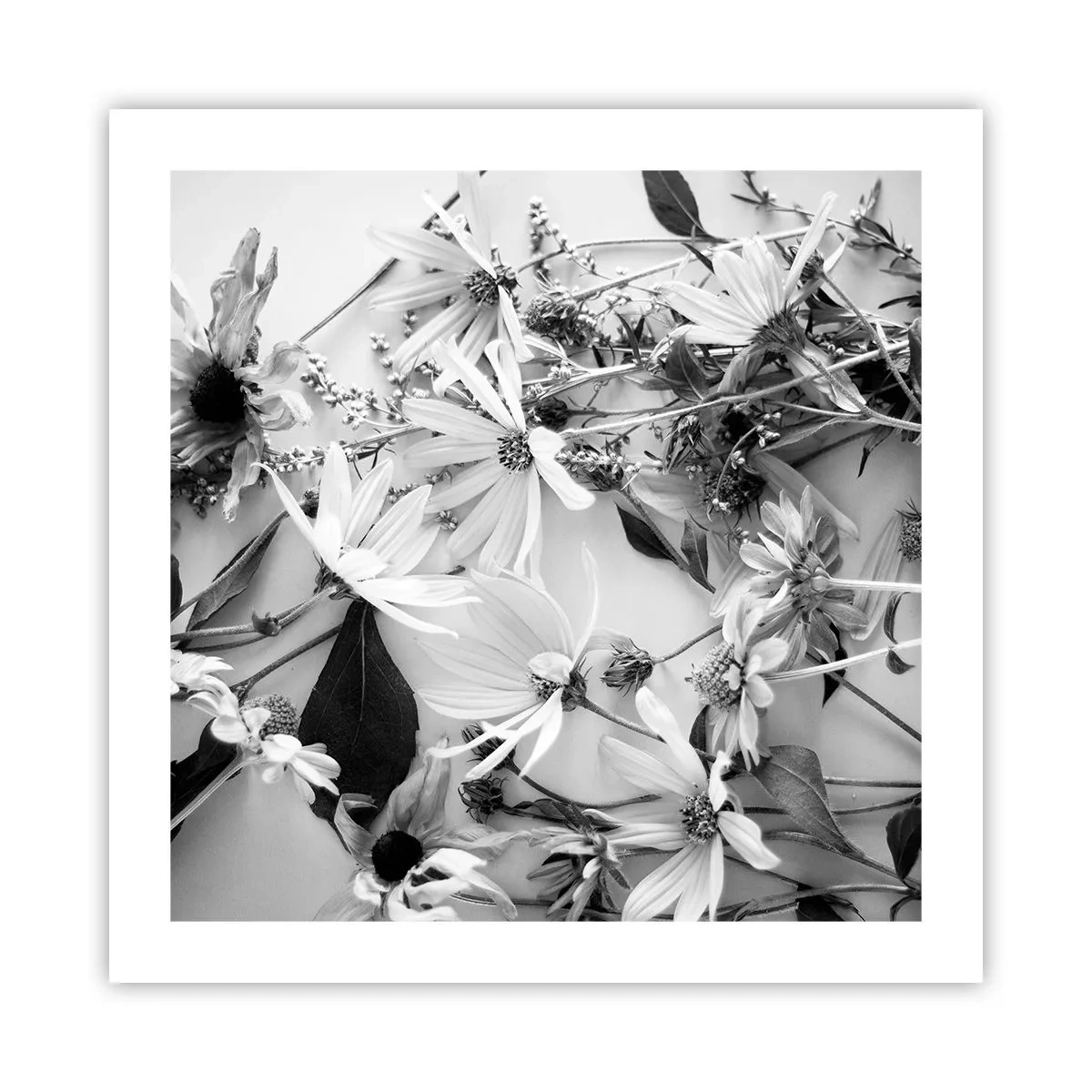 Poster - Un altfel de buchet - 50x50 cm