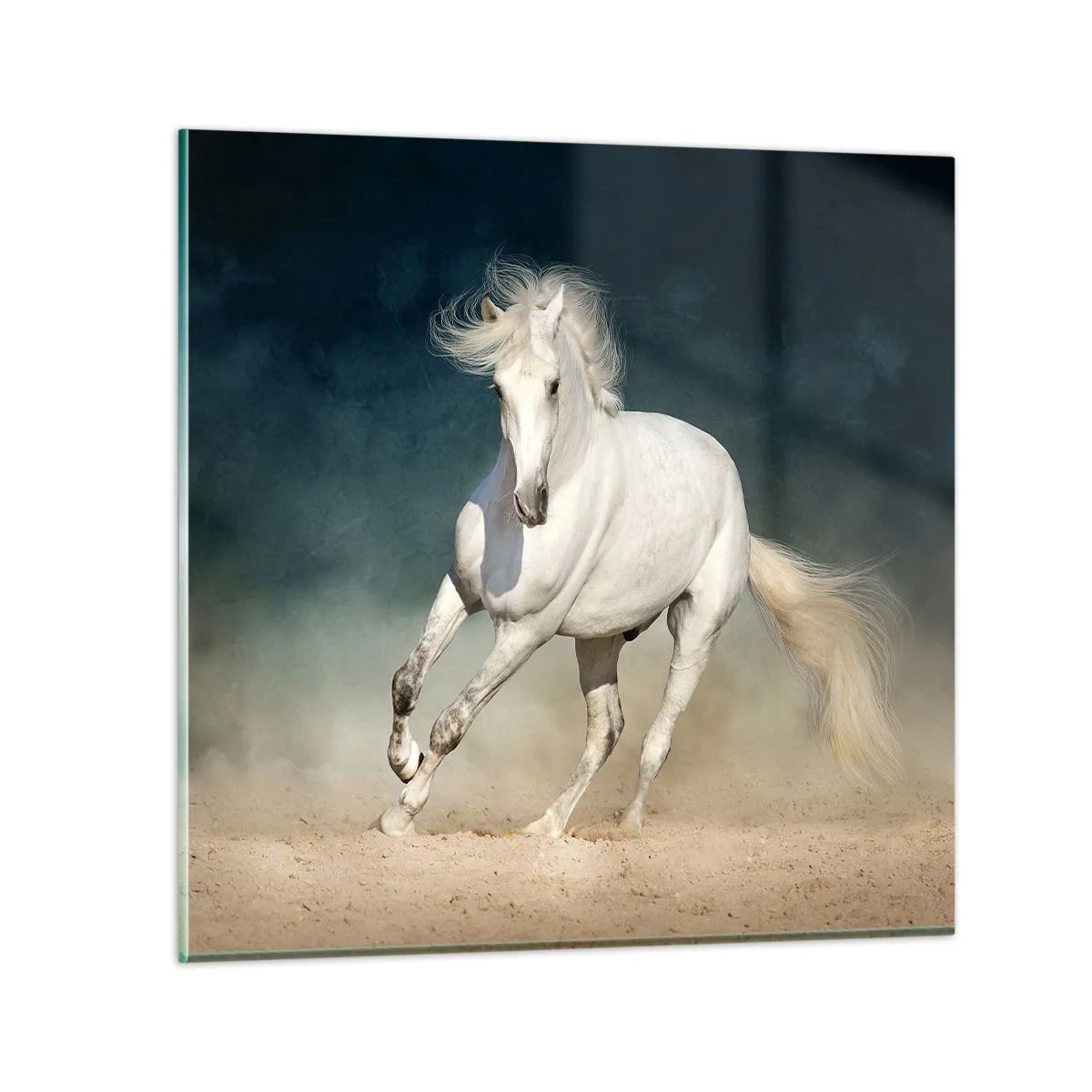 Tablou pe sticlă - Libertate în stare pură - 60x60 cm