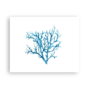 Poster - Filigranul marin - 50x40 cm