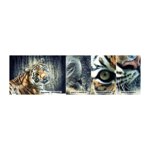 Mostră tapet autocolant Deluxe Sticker - Portret în fluxuri de lumină - Animale, Tigru, Africa - 100x30 cm