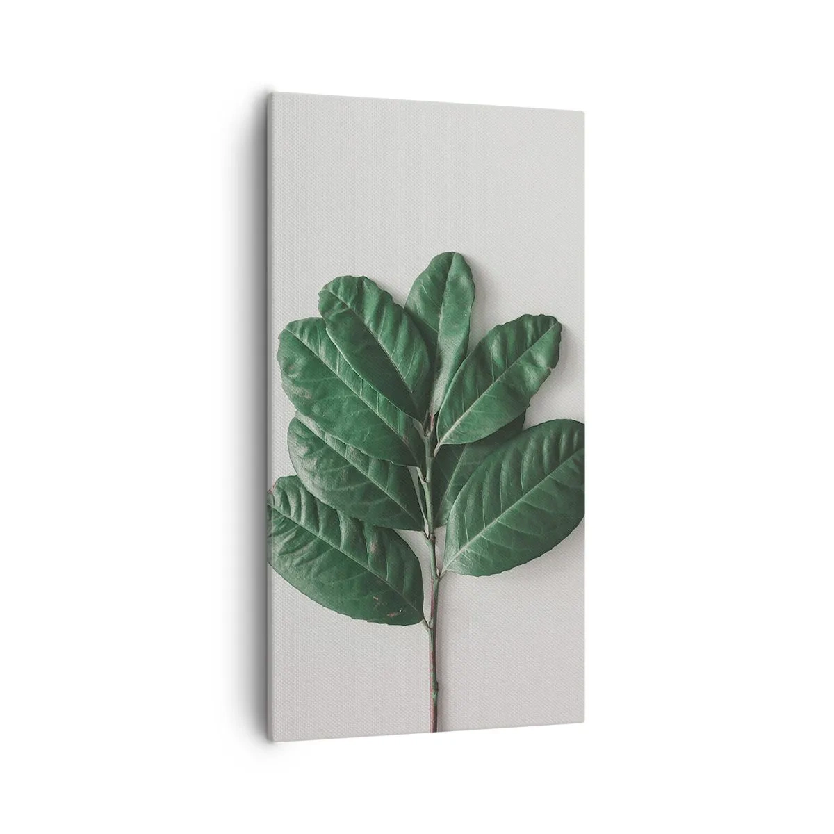 Tablou pe pânză - Desenul naturii însăși - 55x100 cm